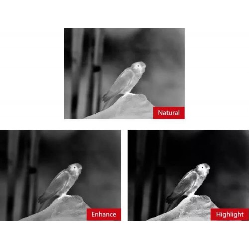 Тепловизионный бинокуляр Guide TN430 400х300, ø35мм, лазерный дальномер в Новокузнецке