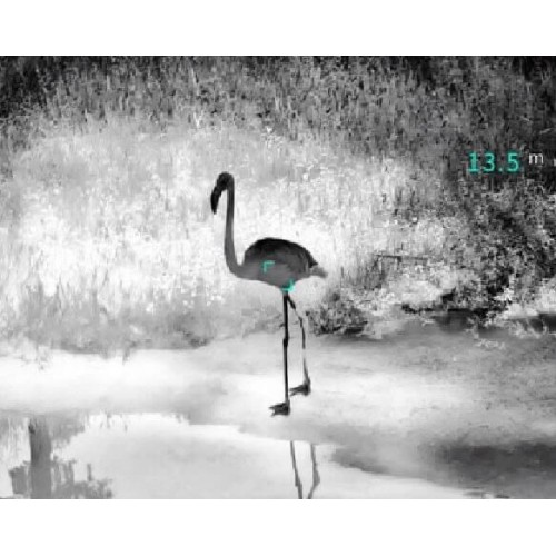 Тепловизионный бинокуляр Guide TN430 400х300, ø35мм, лазерный дальномер в Новокузнецке