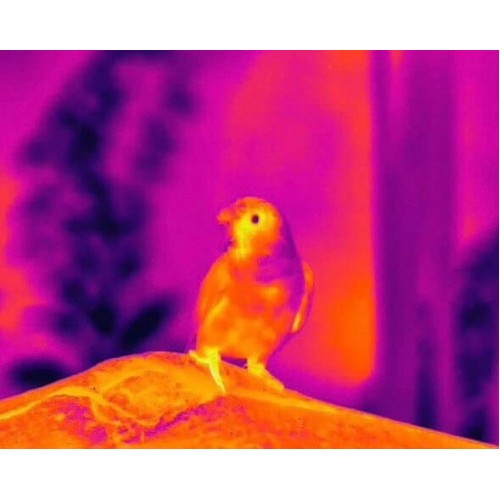 Тепловизионный бинокуляр Guide TN430 400х300, ø35мм, лазерный дальномер в Новокузнецке